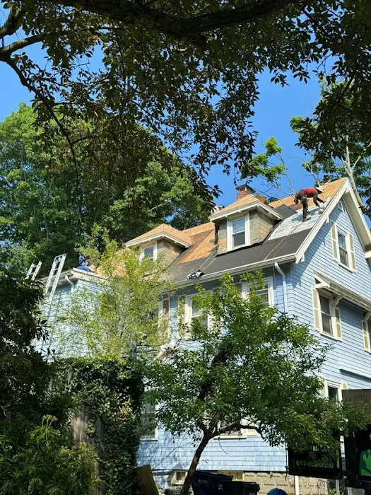 Best Roofing and Siding Picture 6