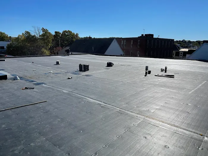 The Roof Kings Picture 8