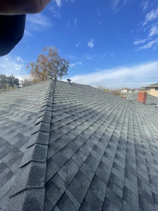 Fox Roof Repair & Installation Picture 1