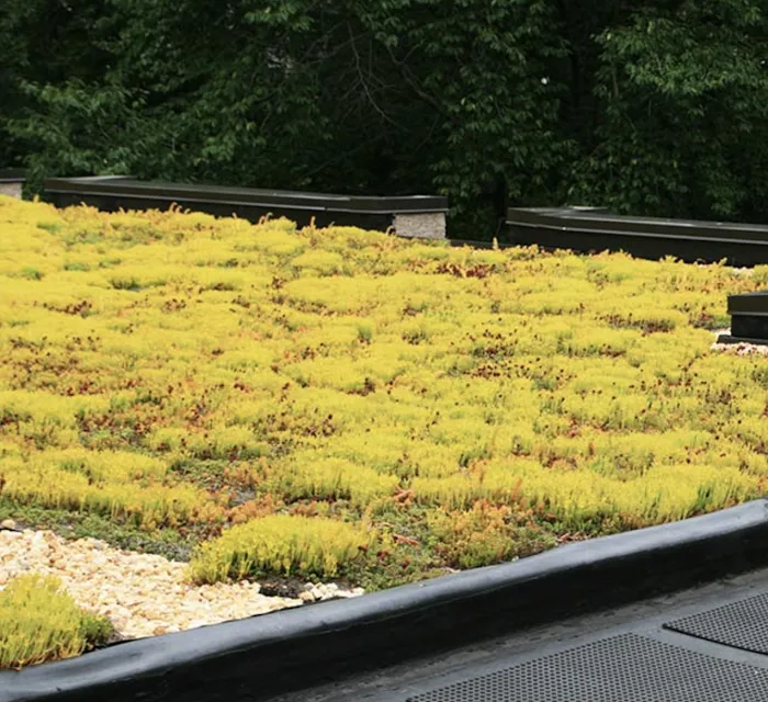 Secure Roofing Picture 7