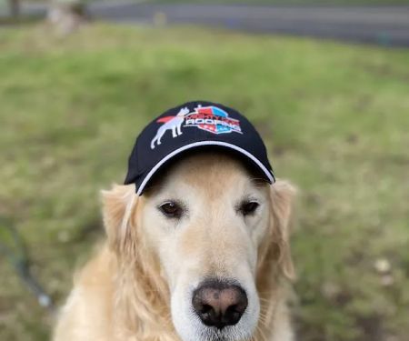 Mighty Dog Roofing MetroWest Boston