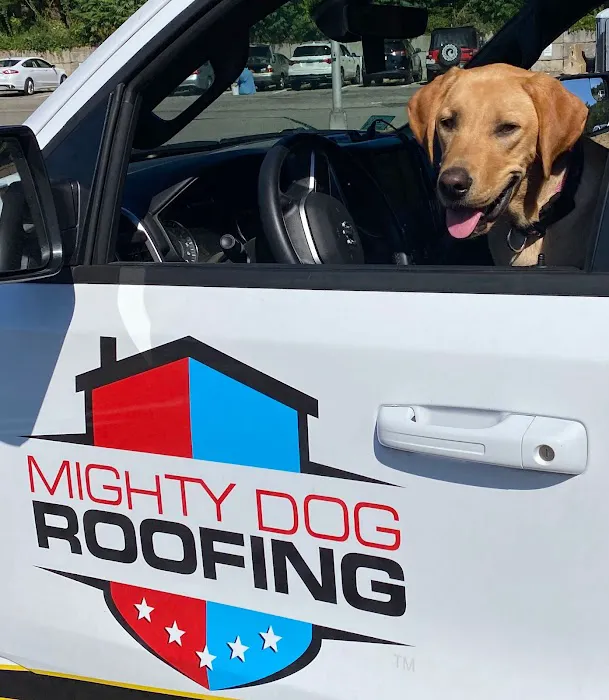 Mighty Dog Roofing MetroWest Boston Picture 8
