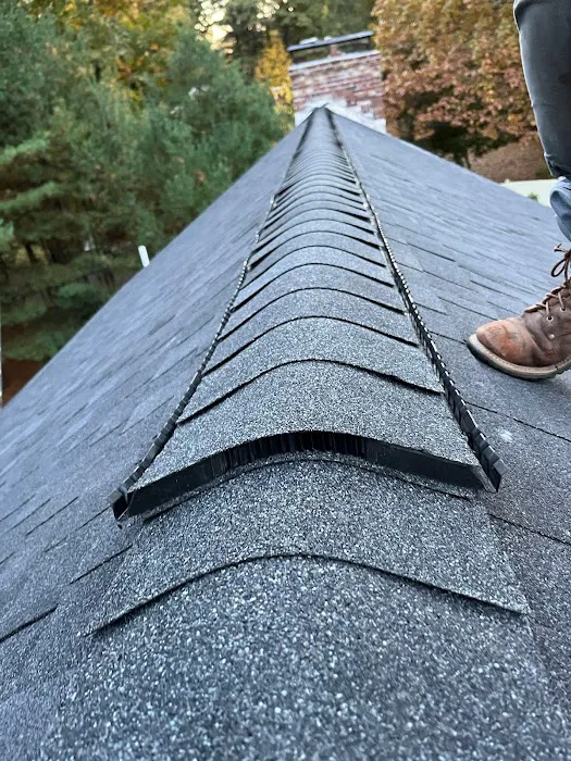 Loyalty Exterior Roofing Solutions Picture 9