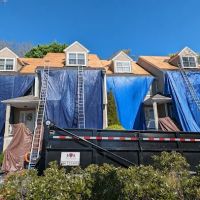 Loyalty Exterior Roofing Solutions ico