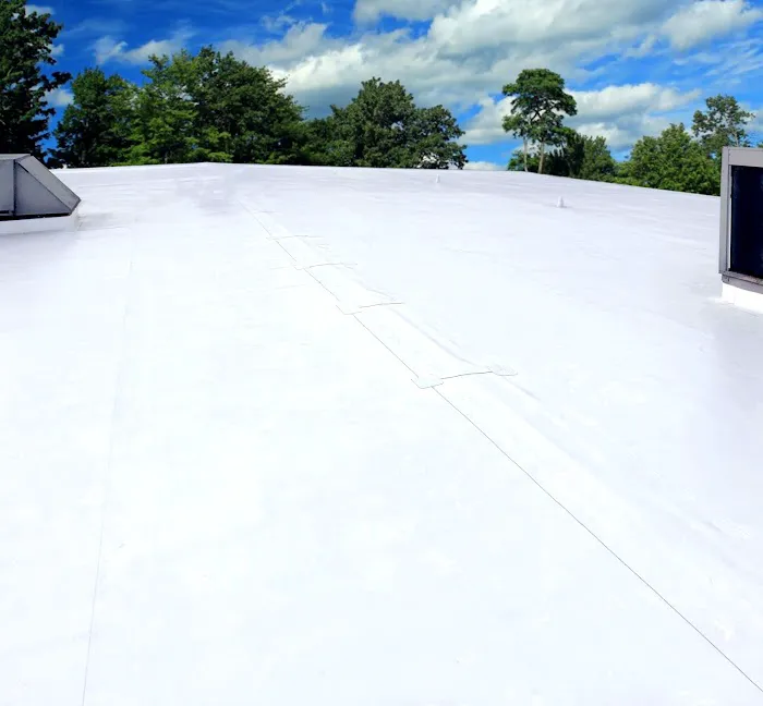 ID Roof Picture 5