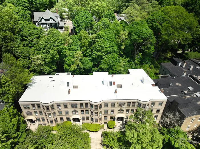 ID Flat Roof Picture 2