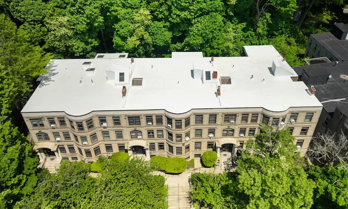 ID Flat Roof Picture 1