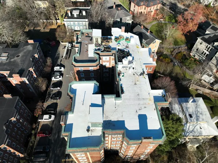 ID Flat Roof Picture 7