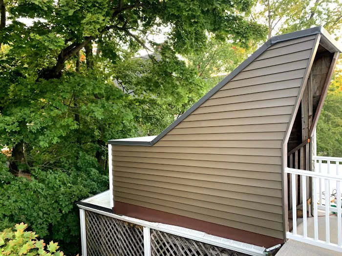 ID Flat Roof Picture 4