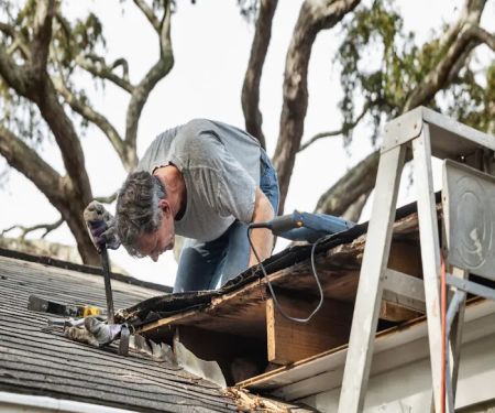 Capital Roofing Guys