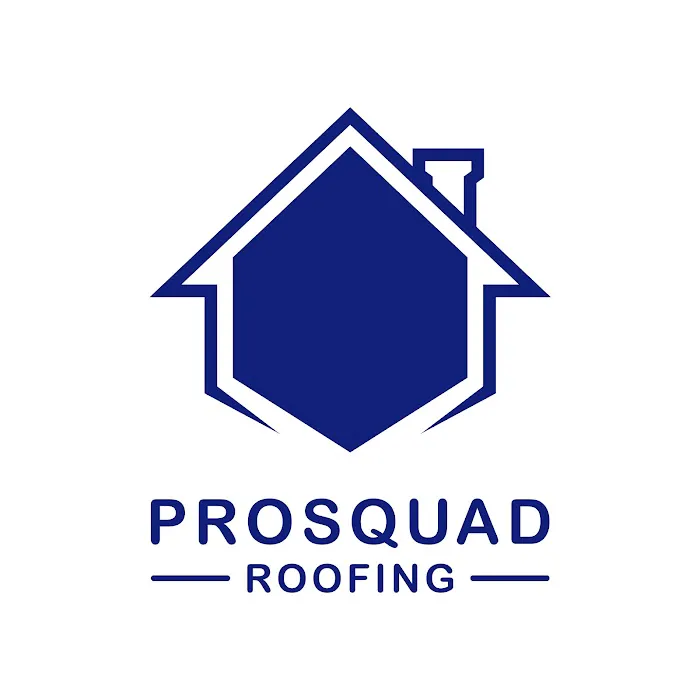 ProSquad Roofing Picture 1