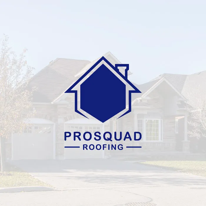ProSquad Roofing Picture 6