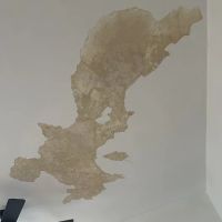 NUZA Roofing Corporation ico