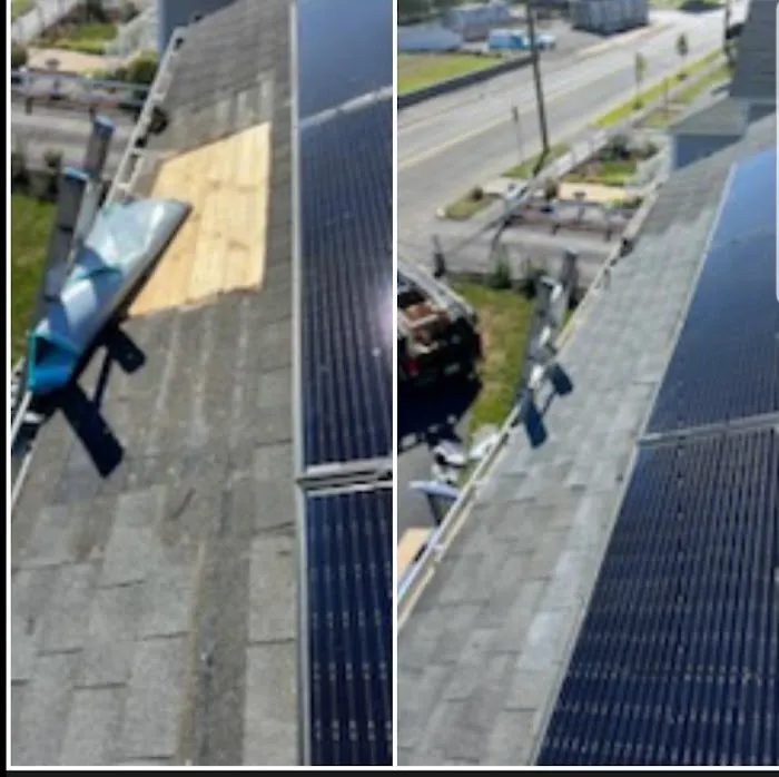 Master Seal Roofing Picture 5