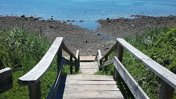 Roof Repairs Co. - Leaky Roof? Picture 4