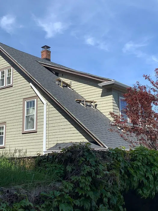 JS Roofing Inc. Picture 6