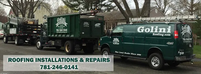 Golini Roofing Picture 2