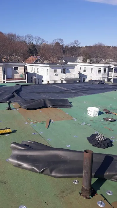 Eli's Roofing Picture 4