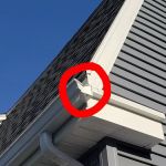 Trahant Roofing