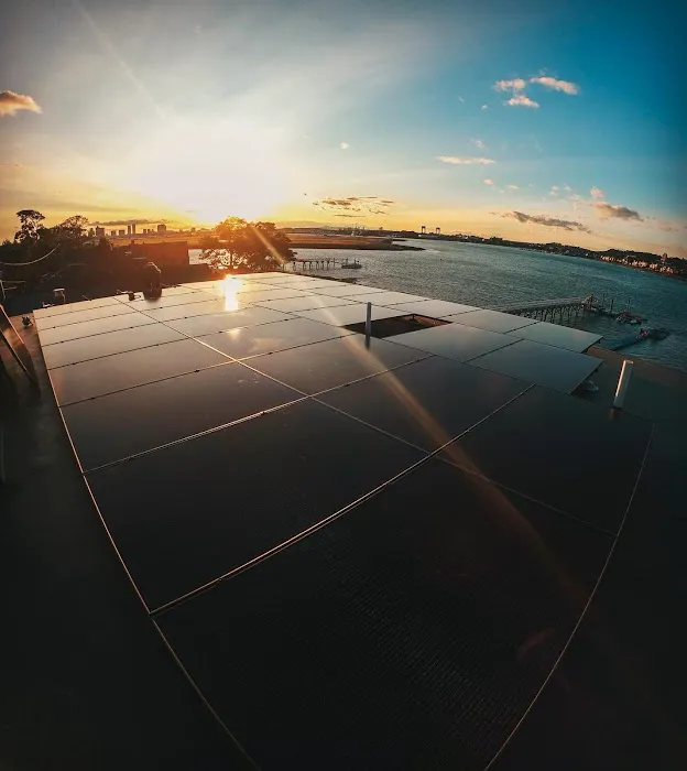 Johnny's Pro Picture 4