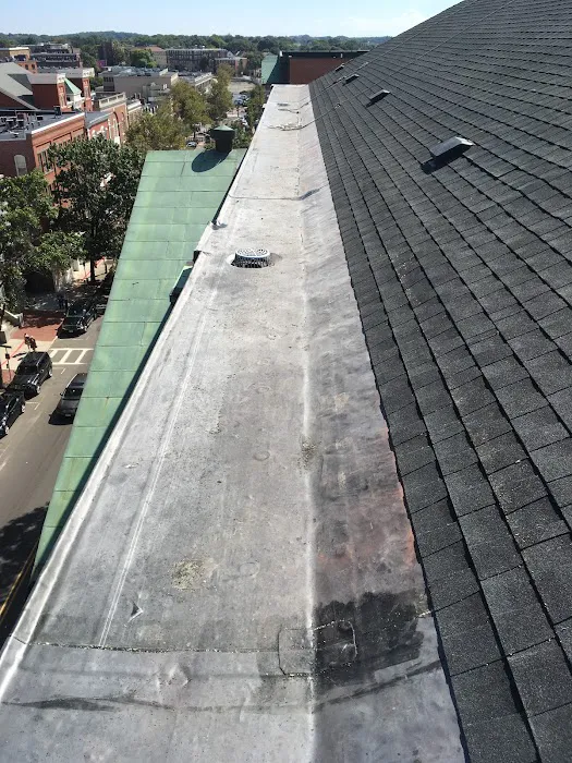 Professional Roofing Contractors Picture 1
