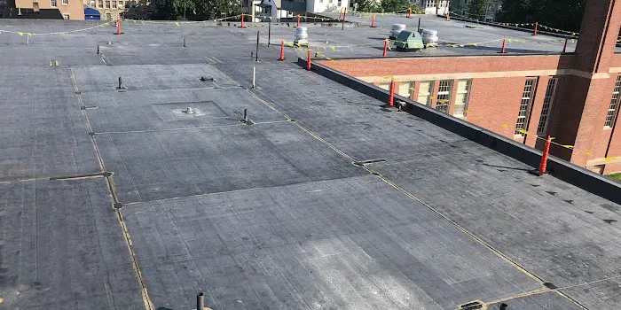 Professional Roofing Contractors Picture 2