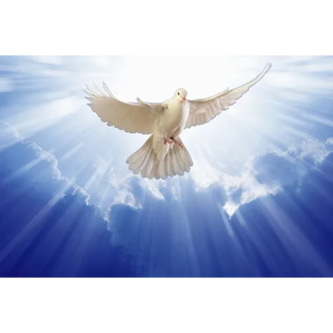 AB Carnes Roofing, Inc Picture 9