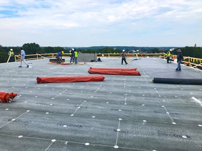 NEPS Roofing Picture 8