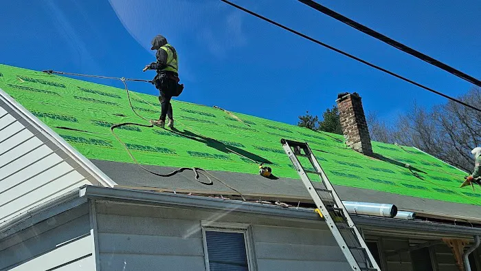 Dynamic Roofing Technologies Picture 2