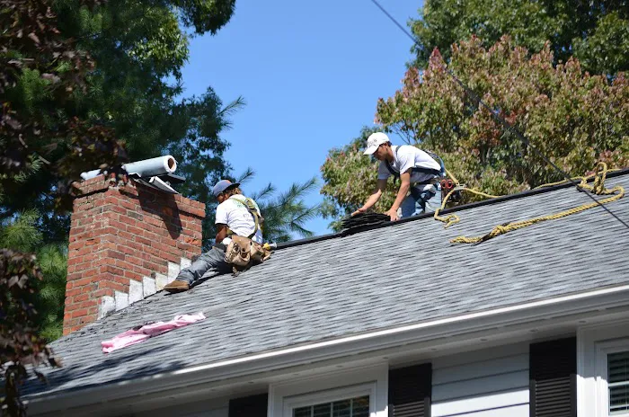 O'LYN Roofing Picture 1