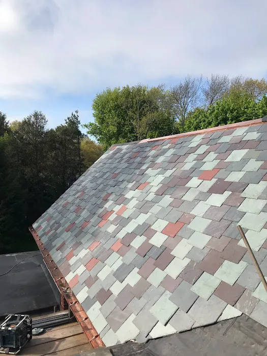 Gordillo Restoration Picture 5