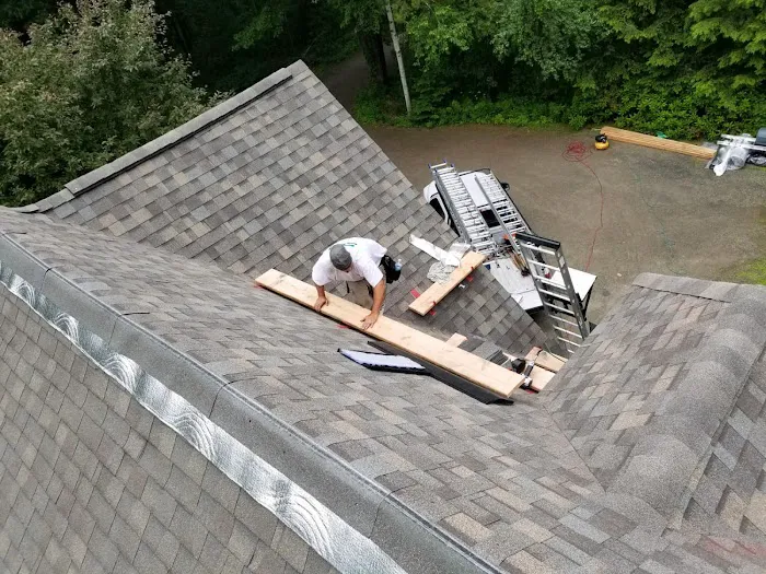 Roofing Service Pro's Picture 3