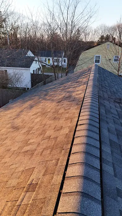 Mandette Roofing Plus Picture 2