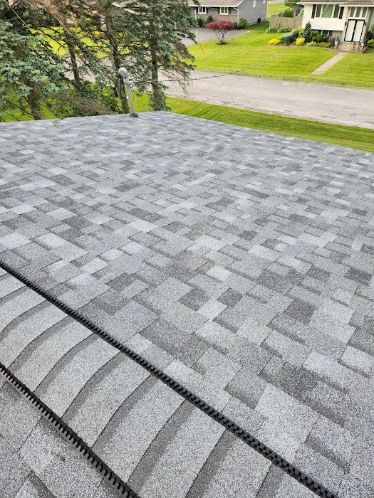 The Roofing King Picture 7