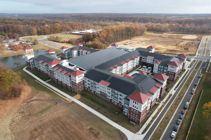 Green Construction Multi Services LLC Picture 8