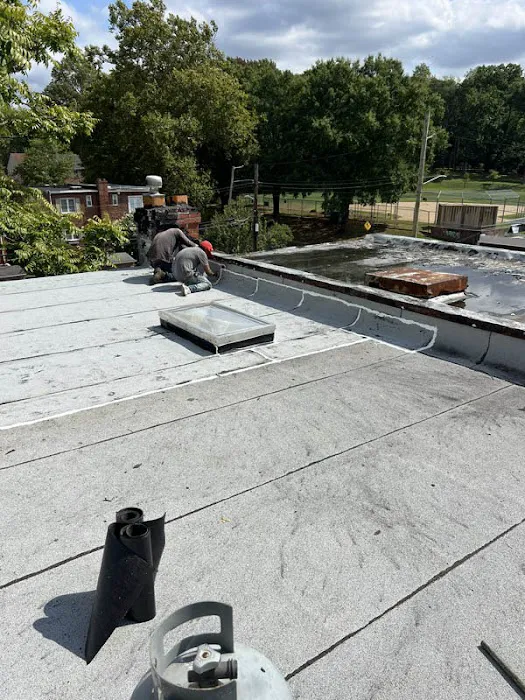 GoTech Roofing Picture 5