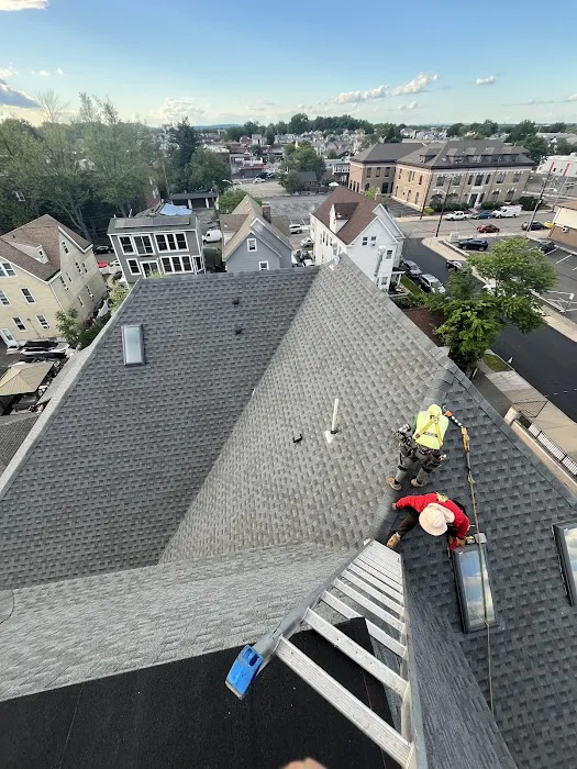 Géminis Roofing & Siding Picture 4