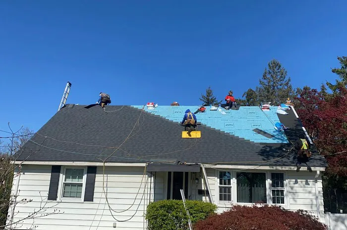 Géminis Roofing & Siding Picture 3