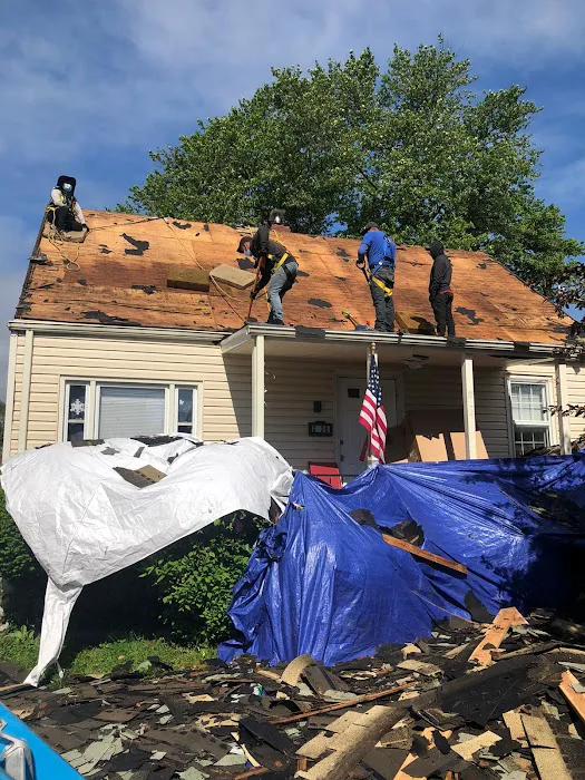 Grapevine Pro Picture 2