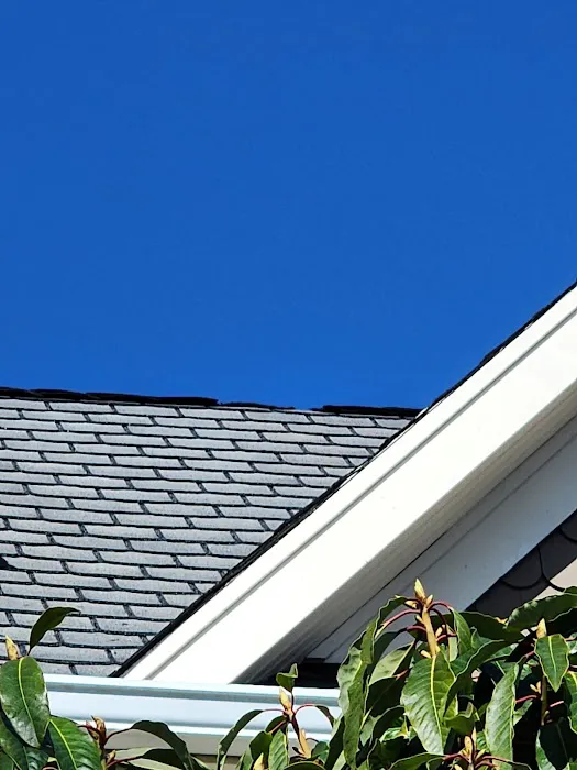 Argyle Roofing Picture 2