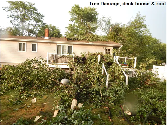 HighView Roofing & Construction Picture 4