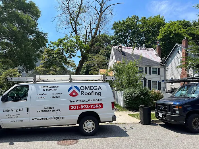 Omega Roofing Picture 2