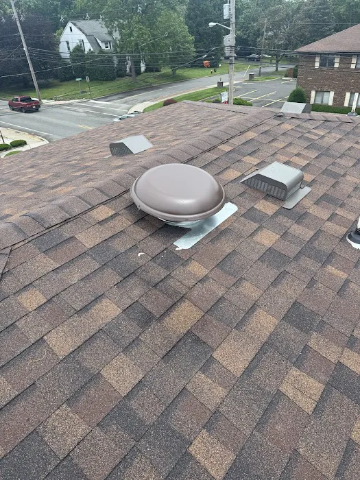 Omega Roofing Picture 3