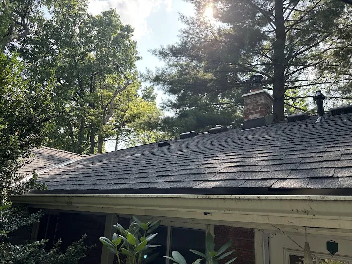 Rapid Roofing Picture 9