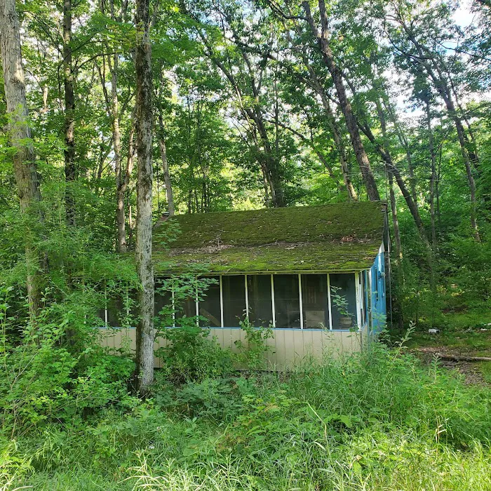 Britton Roofing Picture 8