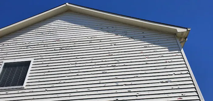 Statement Roofing Picture 1