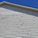 Statement Roofing