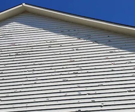Statement Roofing