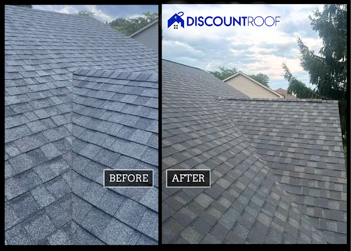 Discount Roof Picture 8