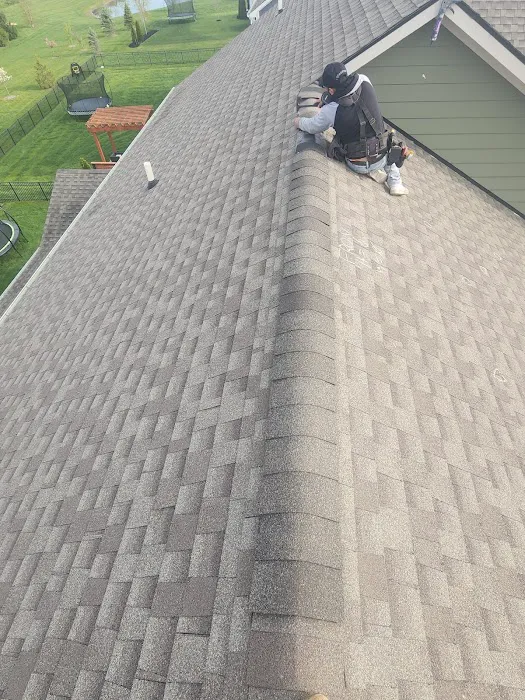 Viking Exteriors, LLC Picture 2